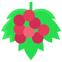 Redcurrant icon