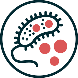 bacterias icono