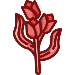 tulp icoon