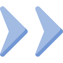 doppelter chevron icon