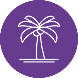 palmera icono