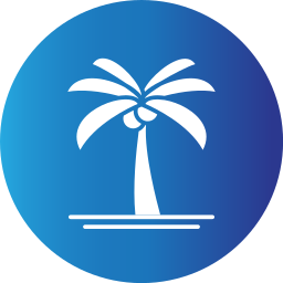palmboom icoon