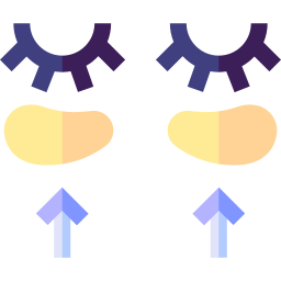 correcteur Icône