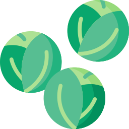 Brussels sprouts icon
