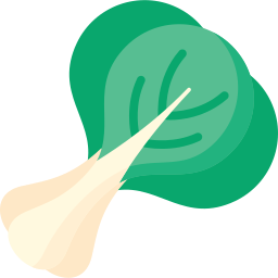 bok choi icon