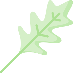 rucola icon