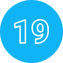 19 icon