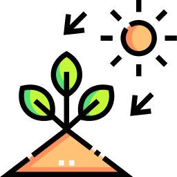 fotosynteza ikona