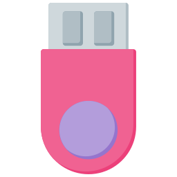 flash-disk icon