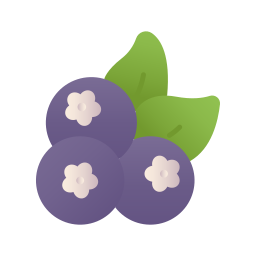 Berry icon