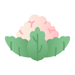 Cauliflower icon