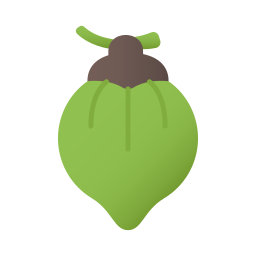 Coconut icon