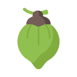 Coconut icon