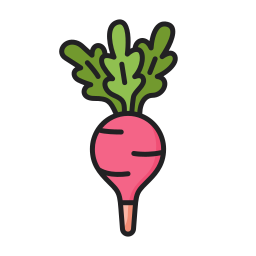 Radish icon