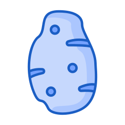 Potato icon