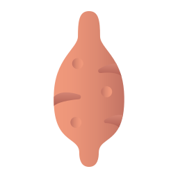 Sweet potato icon