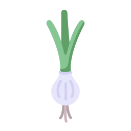 Spring onion icon