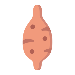 Sweet potato icon