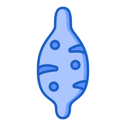 고구마 icon