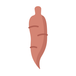 yucca icon