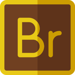 brücke icon