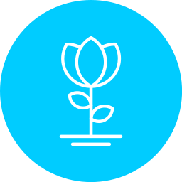 Flower icon