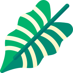 Alocasia amazonica icon