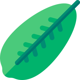 blatt der regenschirmpflanze icon