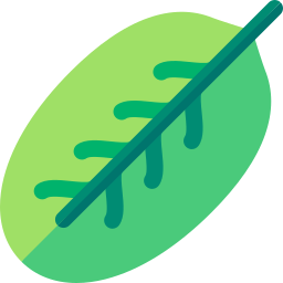 plante de paon Icône