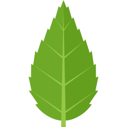 Leaf icon