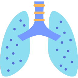 pulmones icono