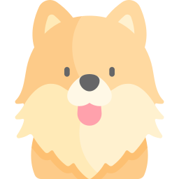 Pomeranian icon