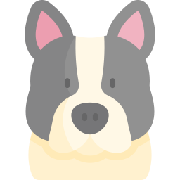 French bulldog icon