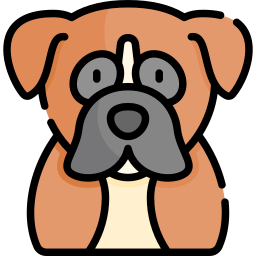 boxer icon