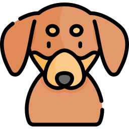 dachshund Ícone