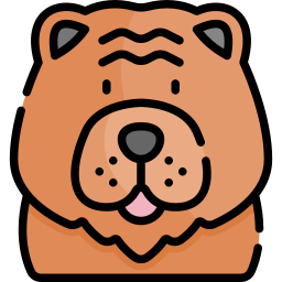 chow-chow icon