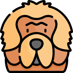 tibetaanse mastiff icoon