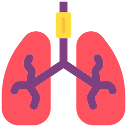 pulmones icono