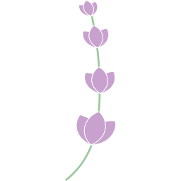 lavanda icono