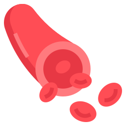 Blood vessel icon