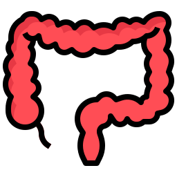 結腸 icon