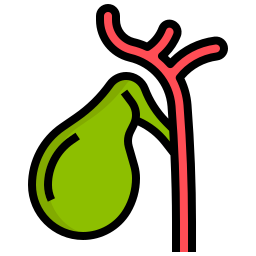 Gallbladder icon