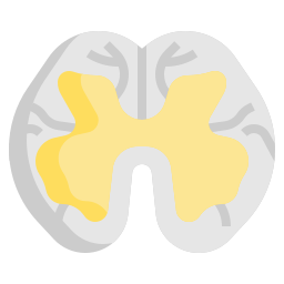 Спинной мозг иконка
