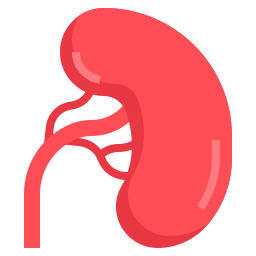 Spleen icon