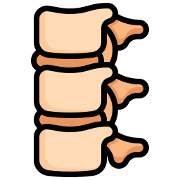 colonne vertébrale Icône