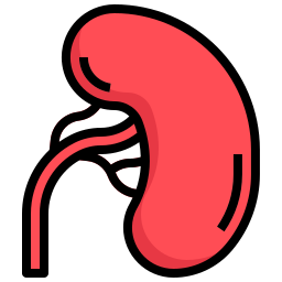 Spleen icon