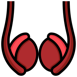 Testicles icon