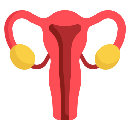 Uterus icon