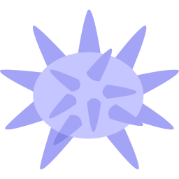 Sea urchin icon