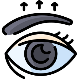 Eyebrow icon